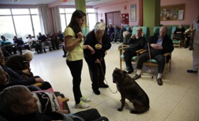Geriatricarea Fundación San Rosendo terapia con animales