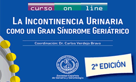 geriatricarea Geraitricarea cursos on-line gratuitos incontinencia SEGG