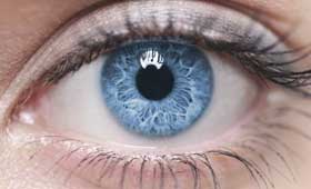 Geriatricarea Alzheimer examen ocular vergencias