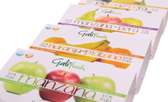 geriatricarea purés de frutas Galifresh Freshcut