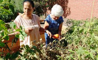 geriatricarea huerto terapéutico Albertia Valle de la Oliva