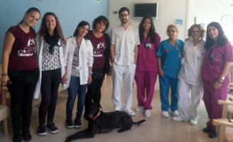 geriatricarea terapia asistida con perros Clece