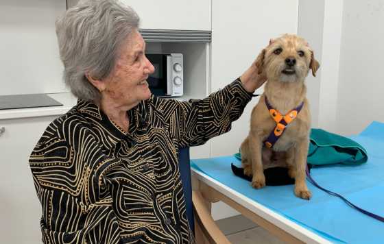 Geriatricarea- CleceVitam Ponent terapia asistida con perros